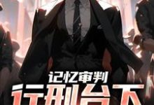 完结版《记忆审判:行刑台下,看哭众人》章节目录在线阅读-贝壳文学
