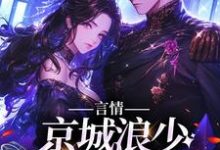 主角林栀沈斯屹小说完结版在线阅读,言情:京城浪少苦追妻免费看-贝壳文学