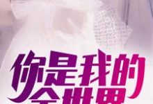 你是我的全世界这本小说在哪里可以看？哪里有免费试读章节？-贝壳文学