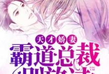 《天才娇妻,霸道总裁别放过》小说主角顾清欢秦慕白章节章节免费在线阅读-贝壳文学
