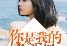寻找能够免费阅读你是我的心头刺小说的平台-贝壳文学