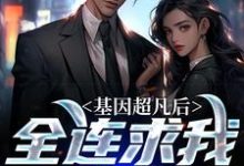 主角叫秦渊燕破岳的小说在哪阅读-贝壳文学
