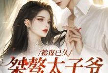 主人公叫段时焰今雾的小说蓄谋已久:桀骜太子爷日日求亲亲在线阅读章节-贝壳文学