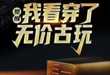 小说《觉醒!我看穿了无价古玩》章节免费阅读-贝壳文学