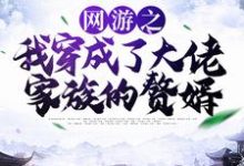 网游之我穿成了大佬家族的赘婿林度宁风雅小说在线章节目录阅读最新章节-贝壳文学