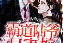 霸道陆爷是妻控小说的免费电子版在哪里可以下载或阅读?-贝壳文学