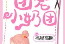 楚软软宁宣为主角的小说叫什么？免费看团宠小奶团福星高照-贝壳文学