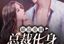 主角李诗婳冷亦尘小说破镜重圆：总裁化身宠妻狂魔免费阅读-贝壳文学