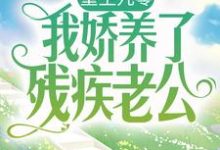 孟柒娣凌骁是哪本书的主角？重生九零：我娇养了残疾老公免费读-贝壳文学