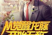已完结小说《从觉醒龙脉开始无敌》最新章节-贝壳文学