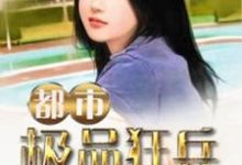 都市极品狂兵小说完结了吗？在哪里可以免费读到？-贝壳文学