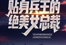 贴身兵王的绝美女总裁章节免费在线阅读，秦渊钱苏子完结版-贝壳文学