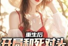 重生后，开局和死对头一起创业陆铮夏无双，重生后，开局和死对头一起创业小说免费阅读-贝壳文学