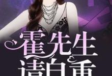 已完结小说《霍先生，请自重》章节在线阅读-贝壳文学
