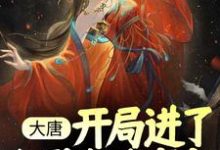 《大唐:开局进了长孙皇后寝宫》小说章节列表免费试读,杨华小说在线阅读-贝壳文学