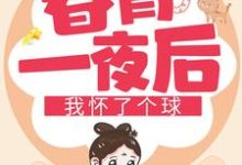 主角叫凌萱庄皓斓的小说在哪阅读-贝壳文学