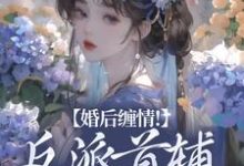 婚后缠情！反派首辅为我痴狂小说，婚后缠情！反派首辅为我痴狂最新章节-贝壳文学