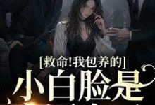 已完结小说《救命！我包养的小白脸是京圈太子》在线章节阅读-贝壳文学