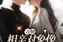 言情:相亲对象像死去的白月光佟苒李泊远小说在线章节免费阅读-贝壳文学