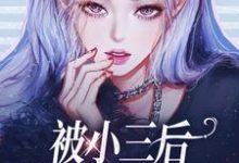 被小三后，我独自美丽了！免费阅读，被小三后，我独自美丽了！霍时璟叶晚-贝壳文学