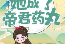 主人公叫楼柒沉煞陈十轩辕战的小说哪里免费看-贝壳文学