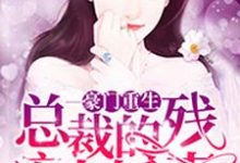 顾姣姣秦朔杜薇薇秦争是哪本书的主角？寻找豪门重生：总裁的残疾小娇妻免费阅读-贝壳文学