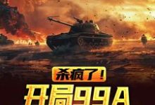 陈剑南叶星宇的故事在哪本书里？免费阅读杀疯了！开局99A重坦驰骋中原-贝壳文学