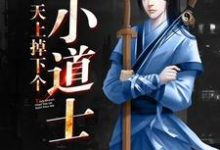天上掉下个小道士苏明俊秦韵小说大结局免费试读-贝壳文学