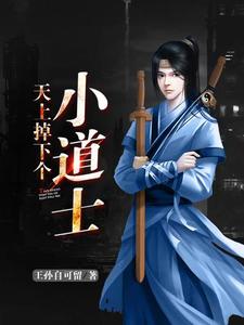 天上掉下个小道士苏明俊秦韵小说大结局免费试读