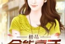 小说《极品全能高手》章节免费阅读-贝壳文学
