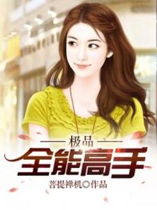 小说《极品全能高手》章节免费阅读