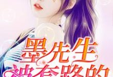 已完结小说《墨先生被套路的365天》在线章节阅读-贝壳文学