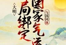 大明：开局绑定国家气运，与国同休这本小说怎么样？免费在线阅读试试-贝壳文学
