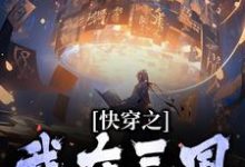 快穿之我在三国争霸天下唐剑在线章节免费阅读-贝壳文学