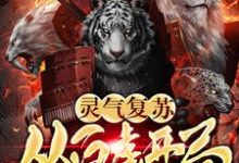 免费在线阅读灵气复苏:从白虎开局小说的正规网站有哪些?-贝壳文学