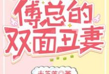 已完结小说《三宝联盟:傅总的双面丑妻》在线章节阅读-贝壳文学