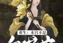重生:本宫不是白莲花小说,重生:本宫不是白莲花章节在线阅读-贝壳文学