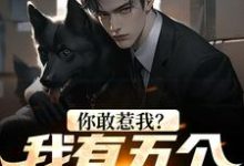 小说《你敢惹我？我有五个反派儿子》章节阅读-贝壳文学