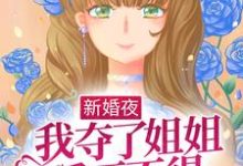 新婚夜,我夺了姐姐爱而不得的男人小说最新章节在哪里可以读到?-贝壳文学