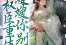 权臣重生，嫂嫂你别跑小说完结了吗？在哪里可以免费读到？-贝壳文学