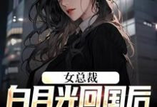 完结版《女总裁白月光回国后,我选择离》在线免费阅读-贝壳文学