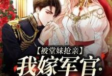 免费看被堂妹抢亲，我嫁军官躺赢了小说的网站有哪些？-贝壳文学