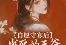 宋非晚萧御小说叫什么（自愿守寡后，战死的王爷连夜归来免费阅读）-贝壳文学