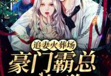 落溪楚京西的完整故事在哪里？读追妻火葬场：豪门霸总不如狗小说-贝壳文学