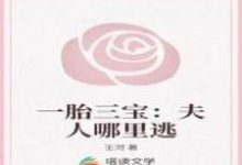 一胎三宝:夫人哪里逃靳宛钰叶钧霆小说免费阅读-贝壳文学