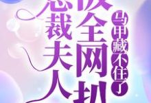 叶歌阑萧容止为主角的小说叫什么?免费看总裁夫人被全网扒,马甲藏不住了-贝壳文学