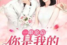 在线寻找贺凛徐柠的小说，一眼沦陷：你是我的命中注定免费阅读-贝壳文学