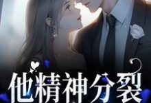 在线搜索容书蔺回寻的完整小说，免费阅读他精神分裂，但和你契合-贝壳文学
