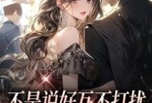 小说《不是说好互不打扰，先生你越轨了》在线章节阅读-贝壳文学
