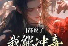 都说了我能冲喜,怎么没人信小说完结了吗?在哪里可以免费读到?-贝壳文学